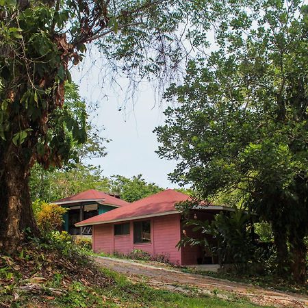 Villa Winika Alterra Palenque Esterno foto