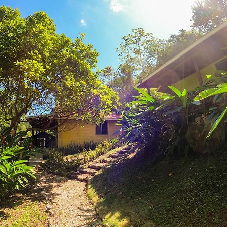 Villa Winika Alterra Palenque Esterno foto