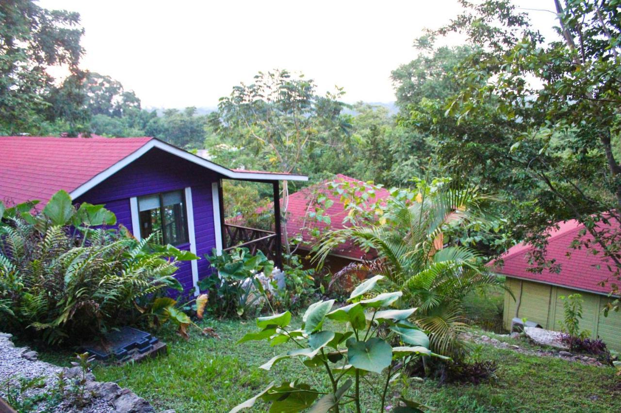 Villa Winika Alterra Palenque Esterno foto