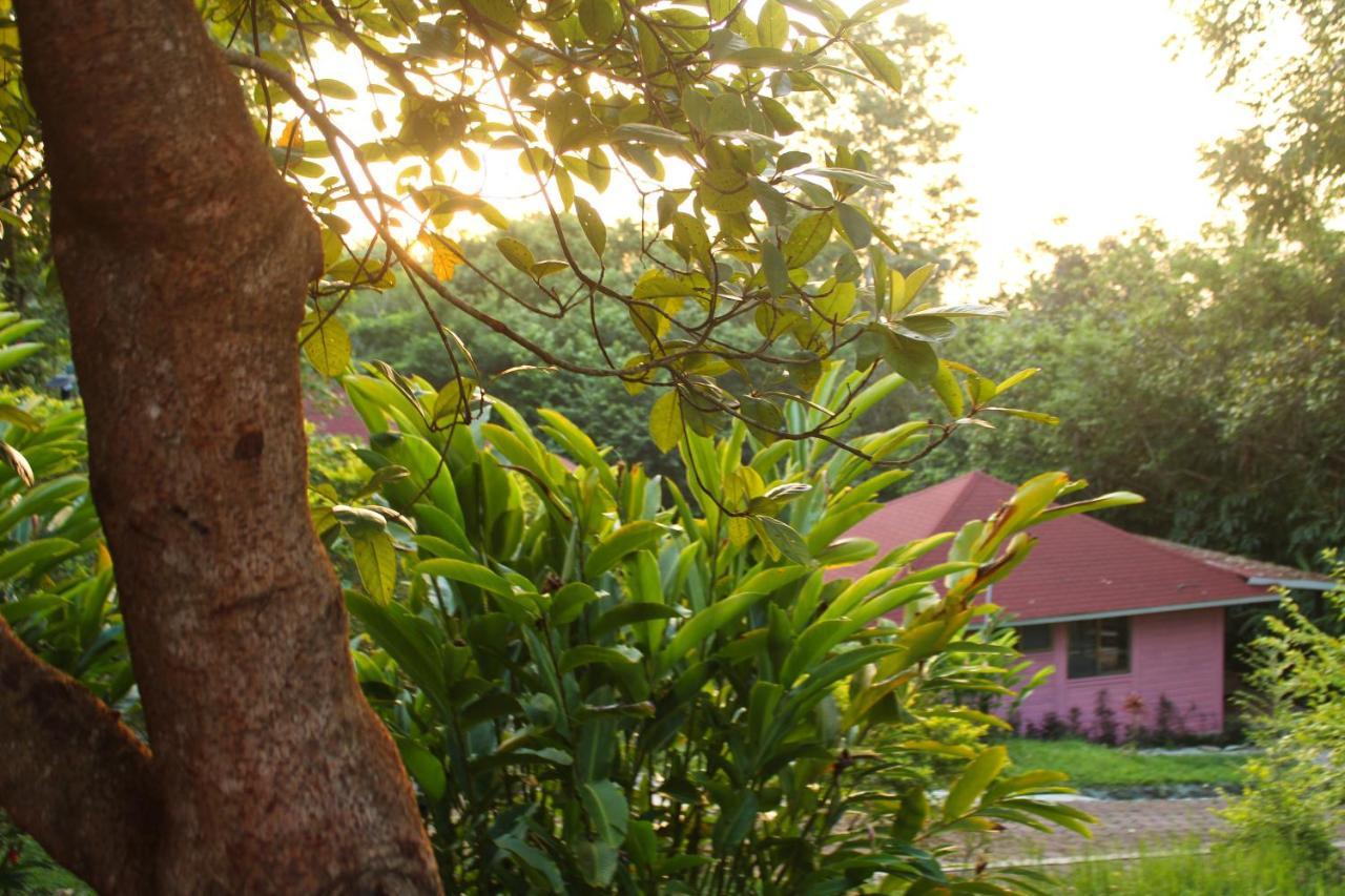 Villa Winika Alterra Palenque Esterno foto