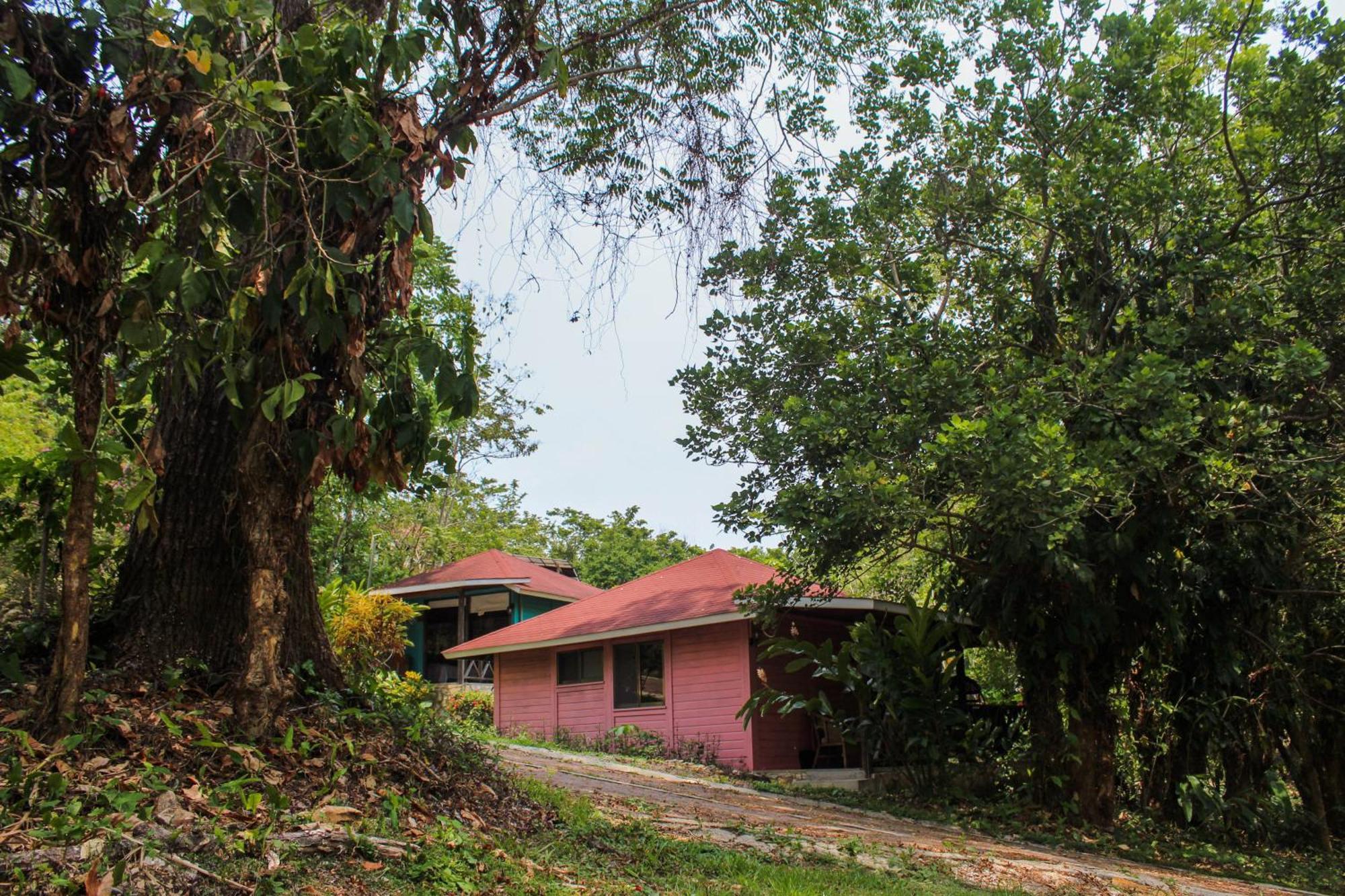 Villa Winika Alterra Palenque Esterno foto