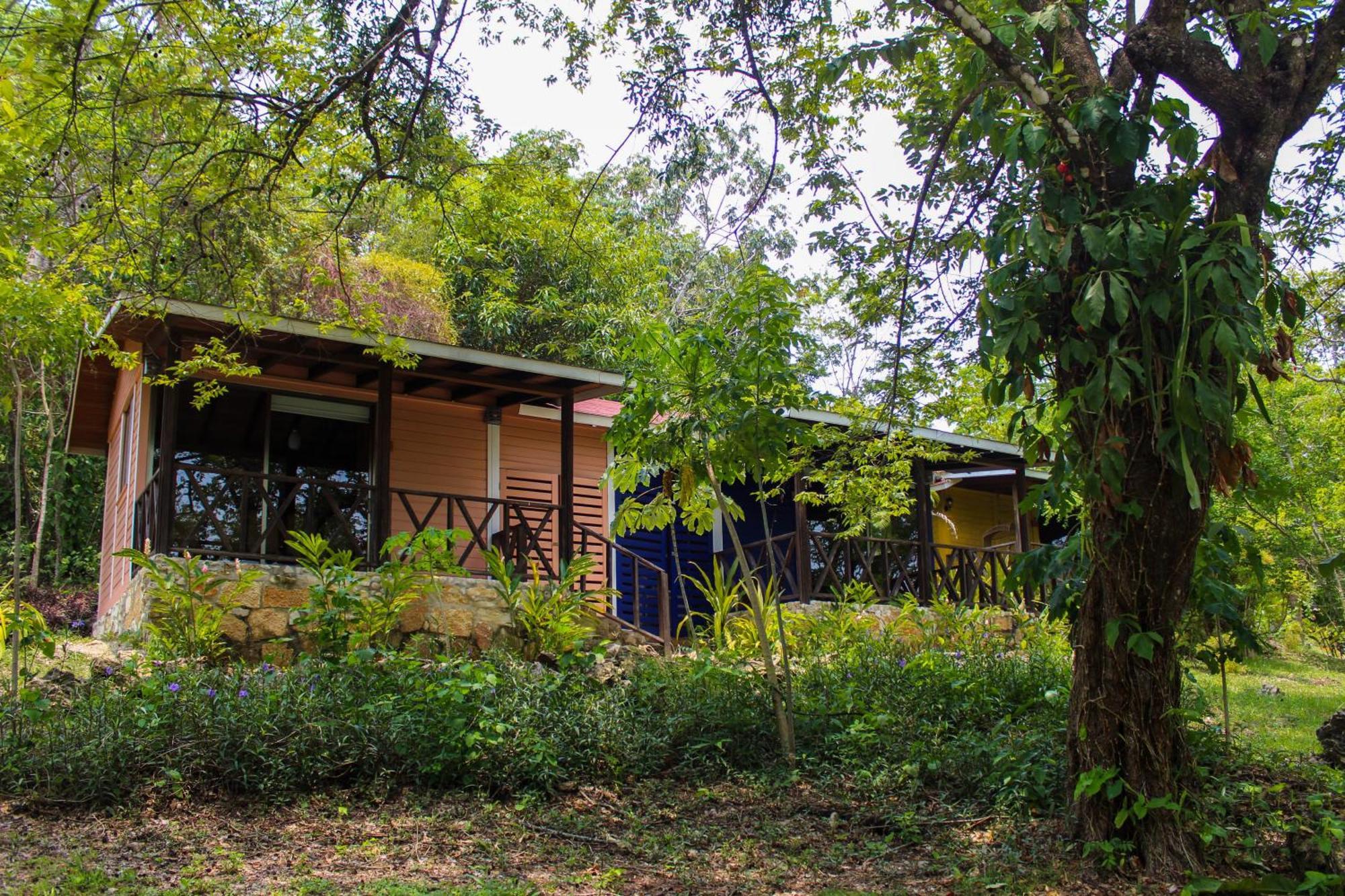 Villa Winika Alterra Palenque Esterno foto
